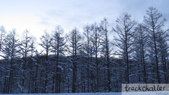 5 Places to Experience East Hokkaido during winter